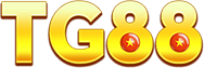 alejandro.com.co