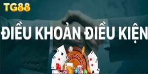 Khái quát về các điều khoản của nhà cái